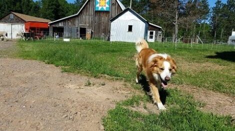 Appreciating the Little Things Image